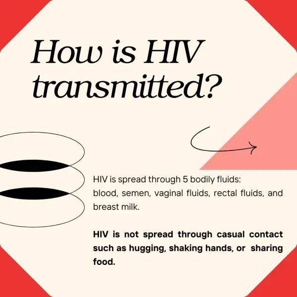 How is HIV transmitted? HIV is spread through five bodily fluids: blood, semen, vaginal fluids, rectal fluids and breast milk. HIV is not spread through casual contact such as hugging, shaking hands or sharing food.