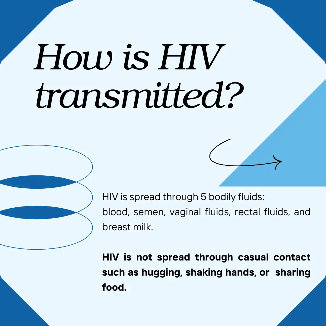 How is HIV transmitted? HIV is spread through five bodily fluids: blood, semen, vaginal fluids, rectal fluids and breast milk. HIV is not spread through casual contact such as hugging, shaking hands or sharing food.