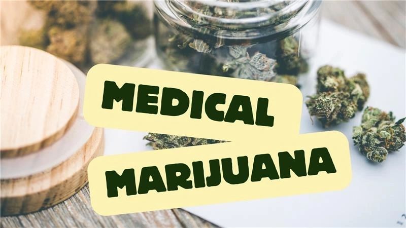 Understanding Medical Marijuana in Florida